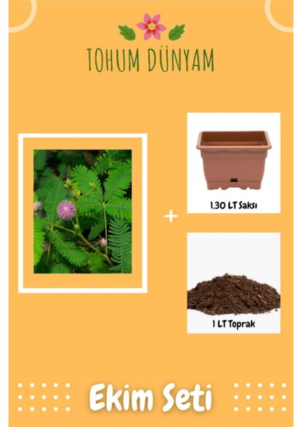 Küstüm Çiçeği Tohumu Ekim Seti