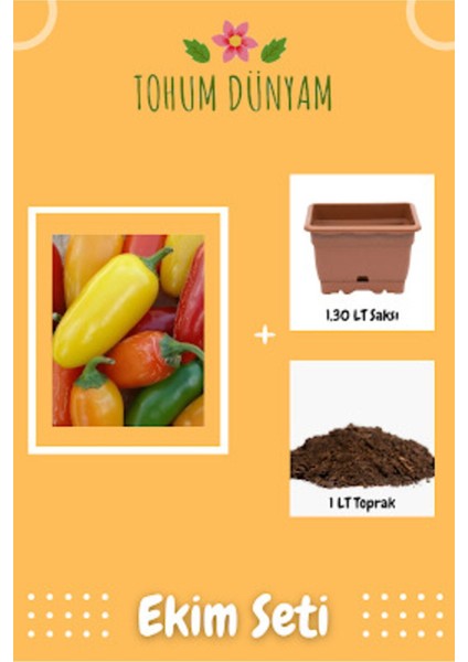 Jalapeno Renkli Biber Tohumu Ekim Seti