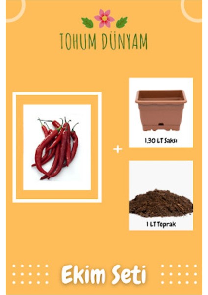 Uzun Kırmızı Cayanne Biber Tohumu Ekim Seti