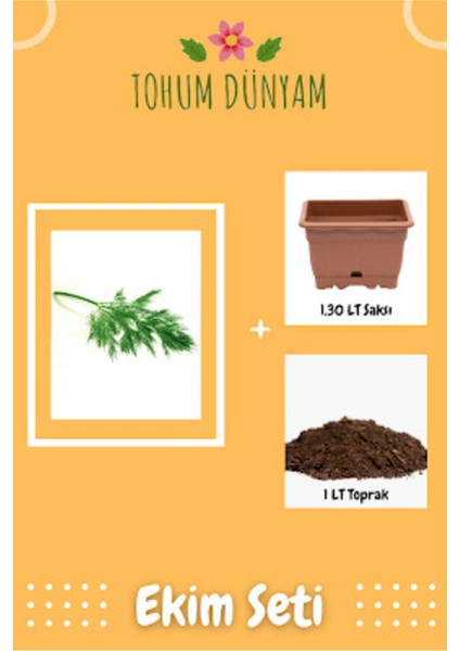 Dereotu Tohumu Ekim Seti
