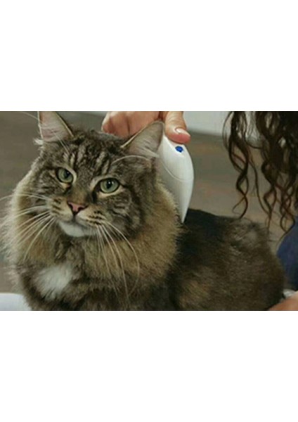 Kedi Köpek Pire Temizleyici Pire Tarağı Flea Doctor ( Lisinya )