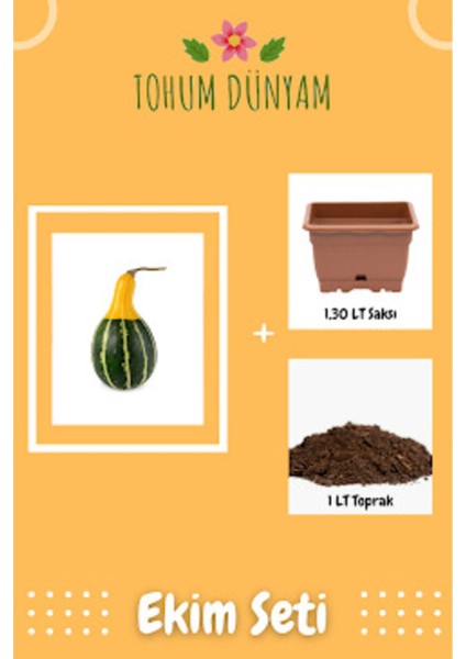 Sarı Yeşil Kabak Tohumu Ekim Seti