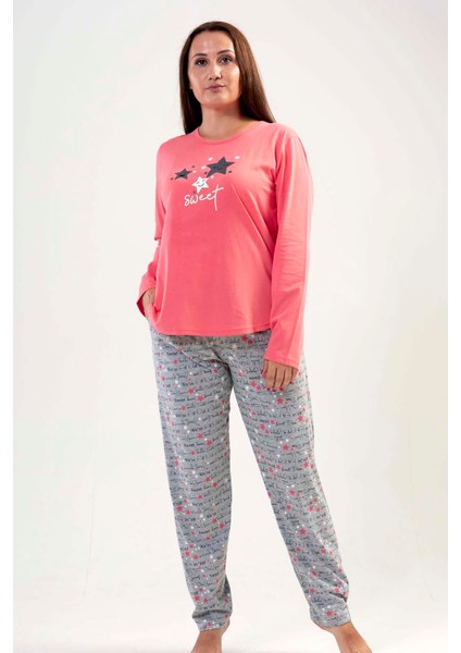 K204179 Vienetta modelleri