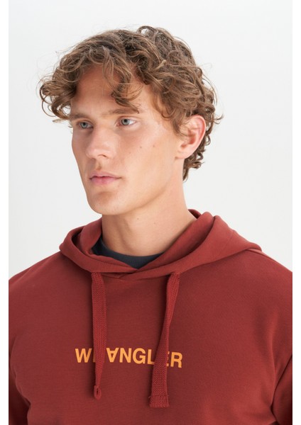 Pamuklu Regular Fit Normal Kesim Kapüşonlu Logo Detaylı Sweatshirt fırsatları