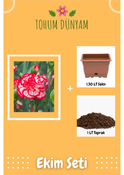 Lekeli Karanfil Çiçeği Tohumu Ekim Seti