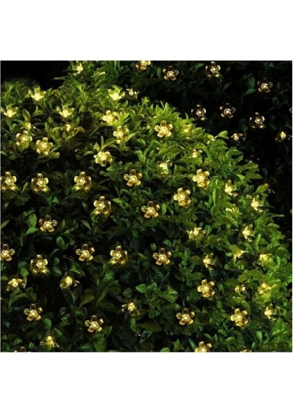 Solar 30 Ledli Çiçekli Günışığı Bahçe Aydınlatma Dekorasyon Güneş Enerjili - Lisinya