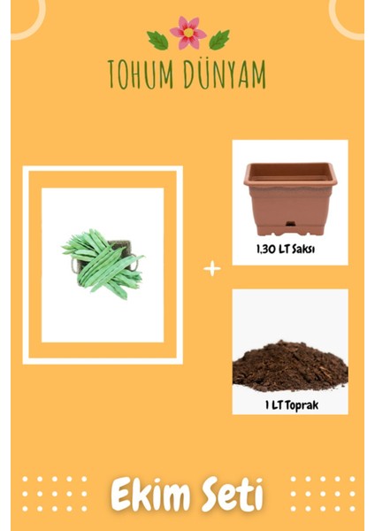 Alman Kılçıksız Ayşe Kadın Sırık Fasulye Tohumu Ekim Seti