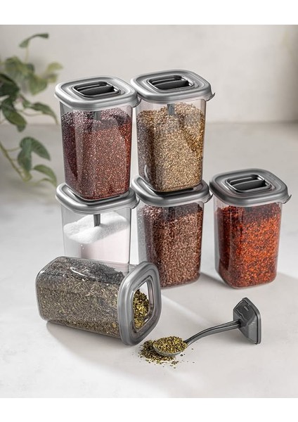 Alessi 6 Adet Kendinden Kaşıklı Etiketli Baharatlık Seti 450 ml Antrasit fiyatları