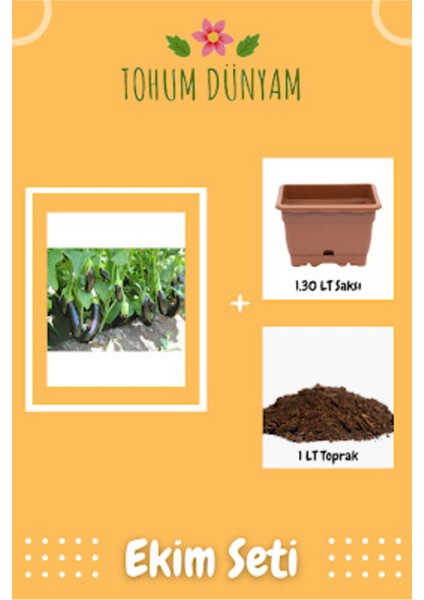 Aydın Siyah Patlıcan Tohumu Ekim Seti