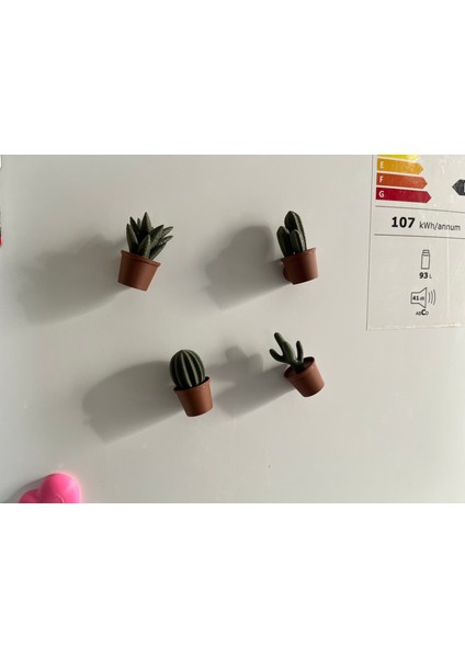 Kaktüs Magnet