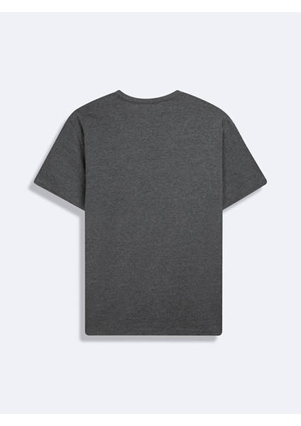 Kısa Kollu Sıfır Yaka Sıgn Baskılı Antrasit T-Shırt fiyatları