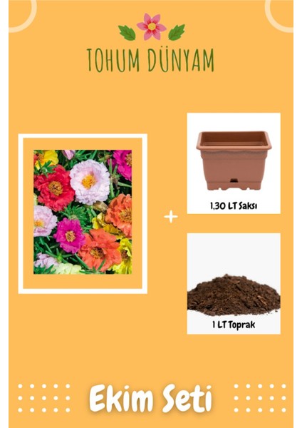 Katmerli Kedi Tırnağı Tohumu Ekim Seti