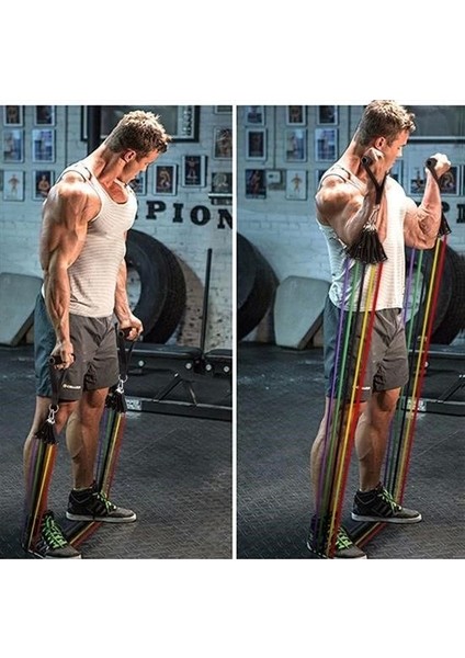 10 Parça Lateks Egzersiz Bandı Çekme Halatı Egzersiz Seti ( Lisinya ) indirimleri