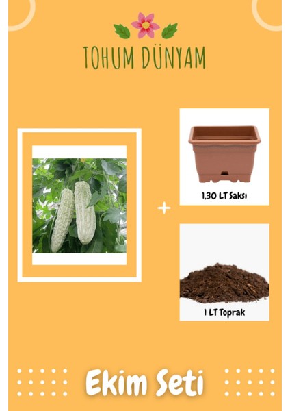 White Large Bitter Kavun Tohumu Ekim Seti
