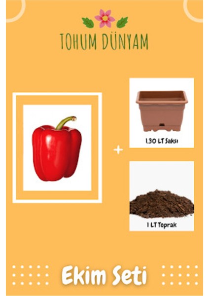 Büyük Kırmızı Dolmalık Biber Tohumu Ekim Seti