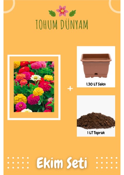 Beybeğendi Çiçeği Tohumu Ekim Seti
