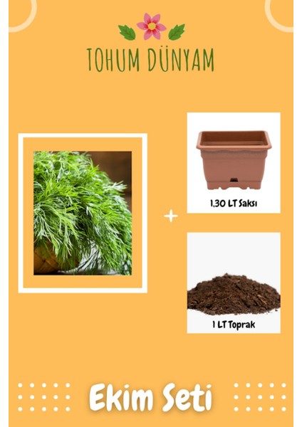 Yerli Dereotu Tohumu Ekim Seti