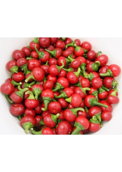 Nadir Ithal Acı Cherry Kiraz Biberi Tohumu 20 Adet Tohum Biber Tohumu