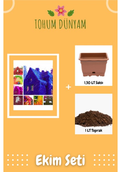 5 Renk Sarmaşık Tohumu Ekim Seti