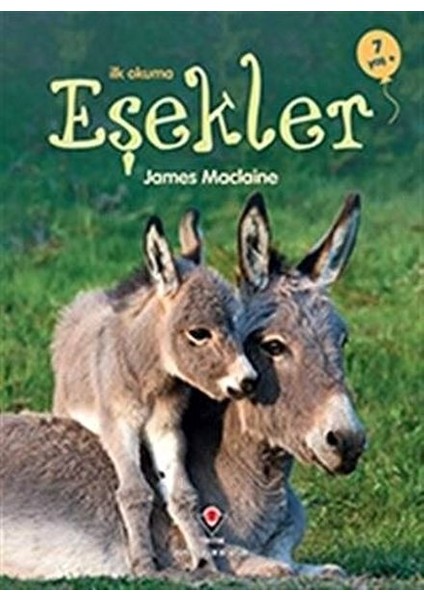 Ilk Okuma - Eşekler