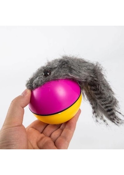 Hareketli Rakun Kedi Köpek Oyuncak fiyatları