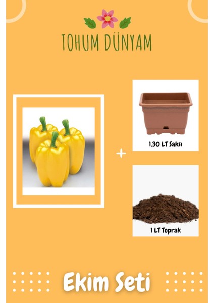 Sarı Dolmalık Biber Tohumu Ekim Seti