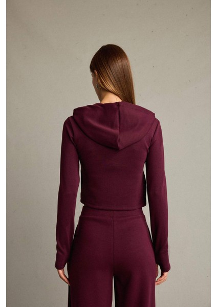 Kapüşonlu Fermuarlı Modal Hırka G2956AX25AU