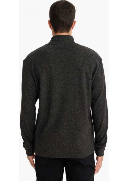 Regular Fit Yarım Balıkçı Yaka Sweatshirt E9625AX25AU
