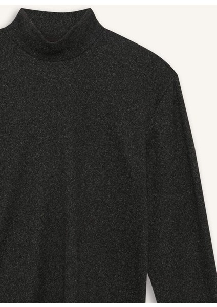Regular Fit Yarım Balıkçı Yaka Sweatshirt E9625AX25AU