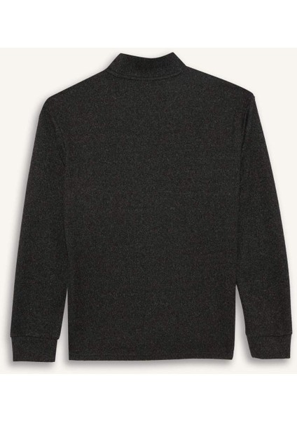 Regular Fit Yarım Balıkçı Yaka Sweatshirt E9625AX25AU