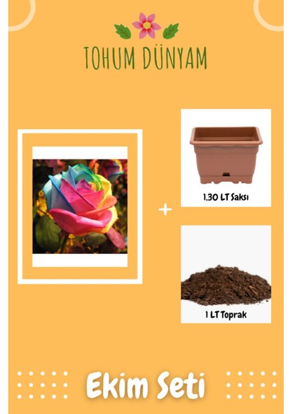 Gökkuşağı Gü Tohumu Ekim Seti