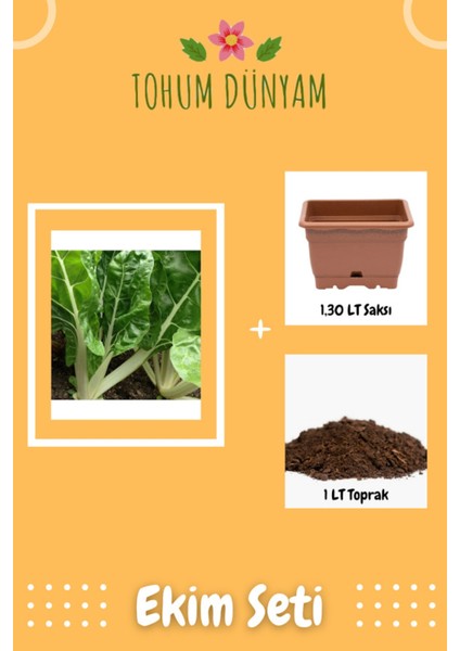 Geniş Yaprak Pazı Tohumu Ekim Seti