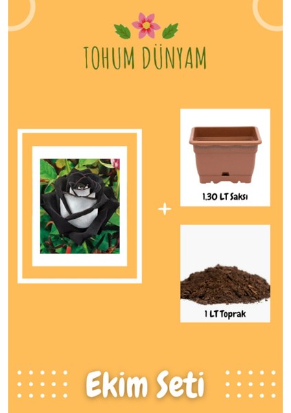 Siyah Beyaz Gül Tohumu Ekim Seti