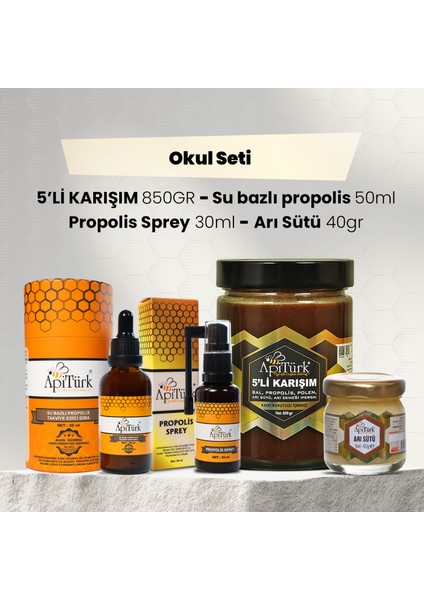 Apiterapi Seti (Okul Seti)