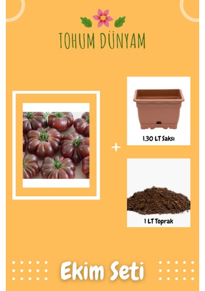 Mor Calabash Domates Tohumu Ekim Seti