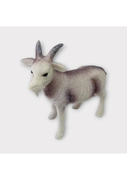 Çiftlik Hayvanları - Keçi (Lisinya)