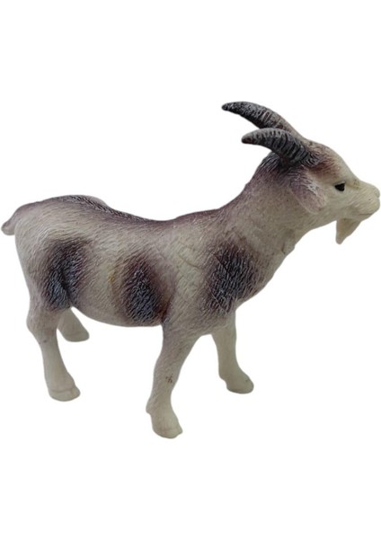 Çiftlik Hayvanları - Keçi (Lisinya) modelleri