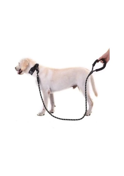 Reflektörlü Köpek Tasması 130 Cm. fiyatları