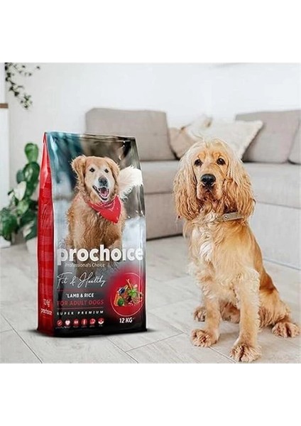 Fit & Healthy, Yetişkin Köpekler Için, Hipoalerjenik, Kuzu Etli ve Pirinçli Kuru Mama, 3