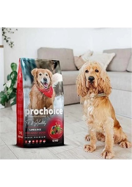 Fit & Healthy, Yetişkin Köpekler Için, Hipoalerjenik, Kuzu Etli ve Pirinçli Kuru Mama, 3 fırsatları