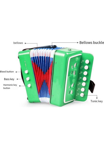 Akordeon Oyuncak 7 Anahtar Akordeonlar Için Akordeonlar, Yürümeye Başlayanlar Için Eğitim Müzik Enstrümanı Hediyesi Yeni Başlayanlar Erkek Kızlar (Yurt Dışından) fırsatları