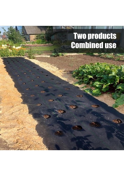 Inç Dikim Delikli Yabani Ot Bariyeri Peyzaj Kumaşı, 3,3 Ft x 11,8 Ft Yabani Ot Blok Bahçe Matı (Yurt Dışından) modelleri