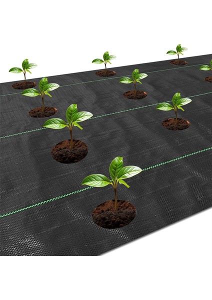 Inç Dikim Delikli Yabani Ot Bariyeri Peyzaj Kumaşı, 3,3 Ft x 11,8 Ft Yabani Ot Blok Bahçe Matı (Yurt Dışından) fırsatları