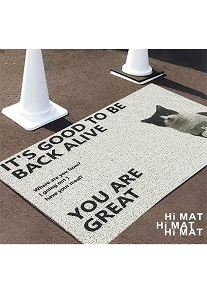 Ilginç Iç Mekan Paspası, Hoş Geldiniz Paspası, Köpek Kapı Paspası, Kaymaz Kauçuk Tabanlı Dayanıklı Kapı Paspası, Kolay Temizlenir (Yurt Dışından) fırsatları