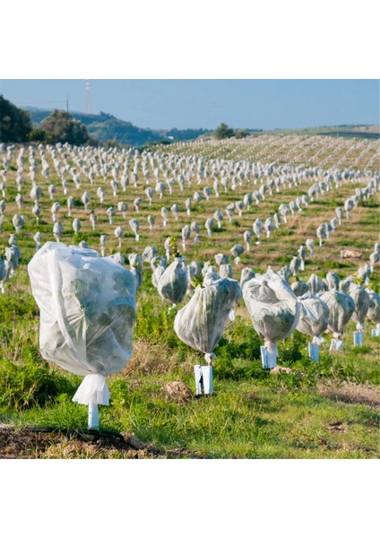 Bitki Örtüleri Don Koruma Çantası Büyük Boy Kışlık Bağcıklı Bitki Örtüleri Kışlık Yeniden Kullanılabilir Meyve Bitkileri Için Ceket (Yurt Dışından) fırsatları