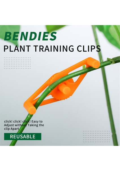 50 Adet Bitki Dalları Bükme Eğitim Klipsleri Bahçe Eğitim Klipsleri 360° Ayarlanabilir Tutucu Stres Eğitim Araçları Için Yeşil (Yurt Dışından) fiyatları