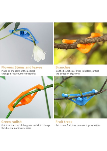 50 Adet Bitki Dalları Bükme Eğitim Klipsleri Bahçe Eğitim Klipsleri 360° Ayarlanabilir Tutucu Stres Eğitim Araçları Için Yeşil (Yurt Dışından) modelleri