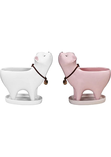 Adet Kedi Saksı Seramik Bitki Saksıları Beyaz ve Pembe Dekoratif Hayvan Çiçek Saksısı Drenaj Deliği ve Tepsi Tabağı ile (Yurt Dışından)