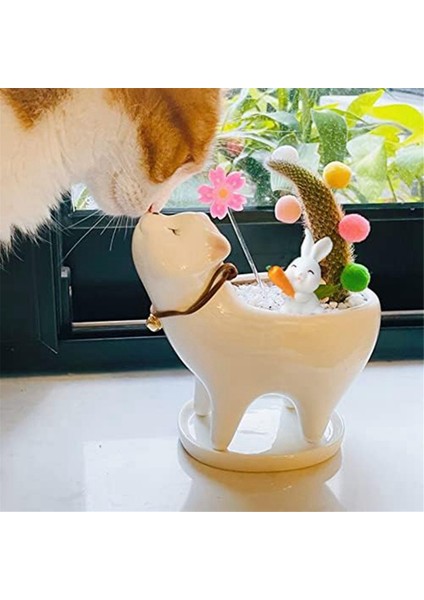 Adet Kedi Saksı Seramik Bitki Saksıları Beyaz ve Pembe Dekoratif Hayvan Çiçek Saksısı Drenaj Deliği ve Tepsi Tabağı ile (Yurt Dışından) fırsatları