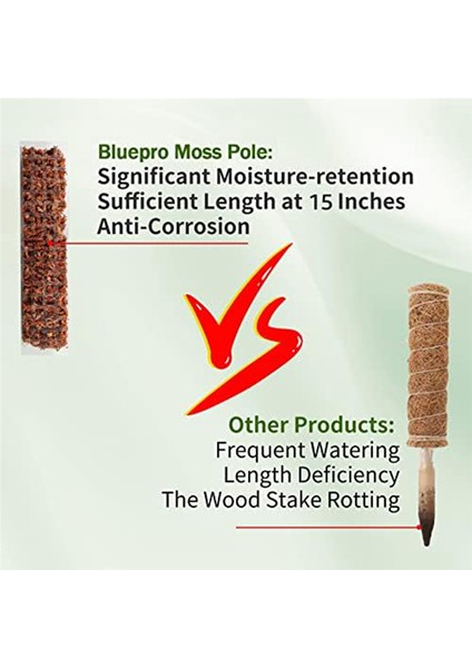 Monstera Bitkileri Için 6 Adet Plastik Yosun Direği, Tırmanıcı Bitkiler Için Bitki Direkleri, Iç Mekan Bitkileri Için Bitki Desteği (Yurt Dışından) fiyatları